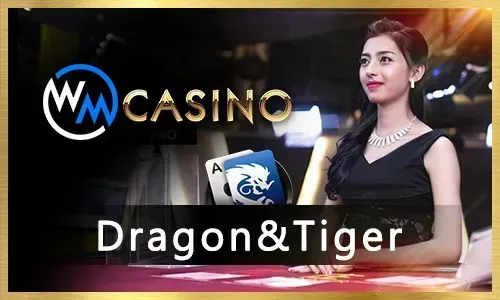 Live Dealer Poker Table
